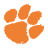 CLEM Icon